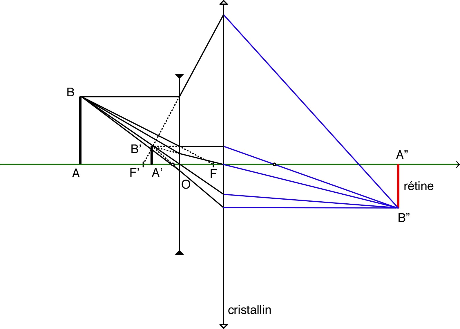 lentilleDiv_TP_Im/lentilleDiv_TP_Im3.jpg